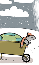 Pied Piper Hare and Tortoise